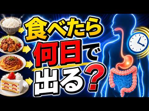 無題の記事