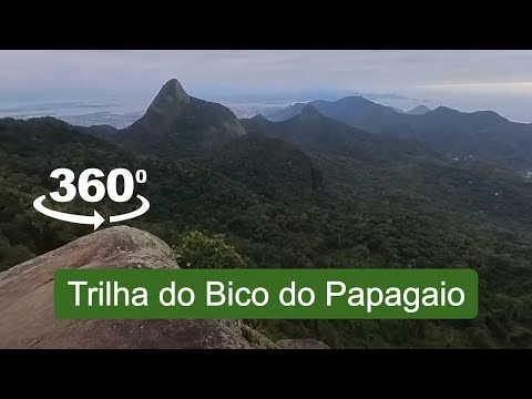 360 video of the trail to the top of Bico do Papagaio at Tijuca National Park in Rio de Janeiro.