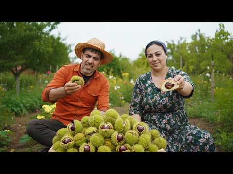 Discover 5 Delicious Chestnut Dishes From Our Azerbaijani Village Kitchen