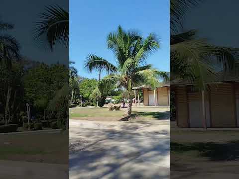 Santa Cruz del Sur Camagüey #cronicasdemiisla #cubanosporelmundo