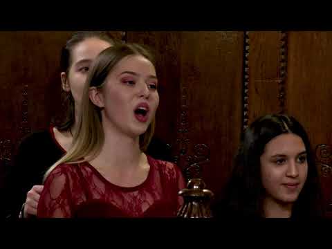 Franz Xaver Gruber - Silent Night