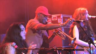 Kitty Daisy & Lewis - I'm So Sorry    (Live in Sydney) | Moshcam