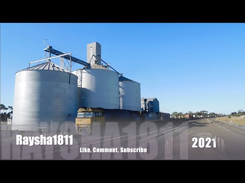 1MP5 - NR81-NR60 (PacNat) Lara - Australian Trains by Raysha1811