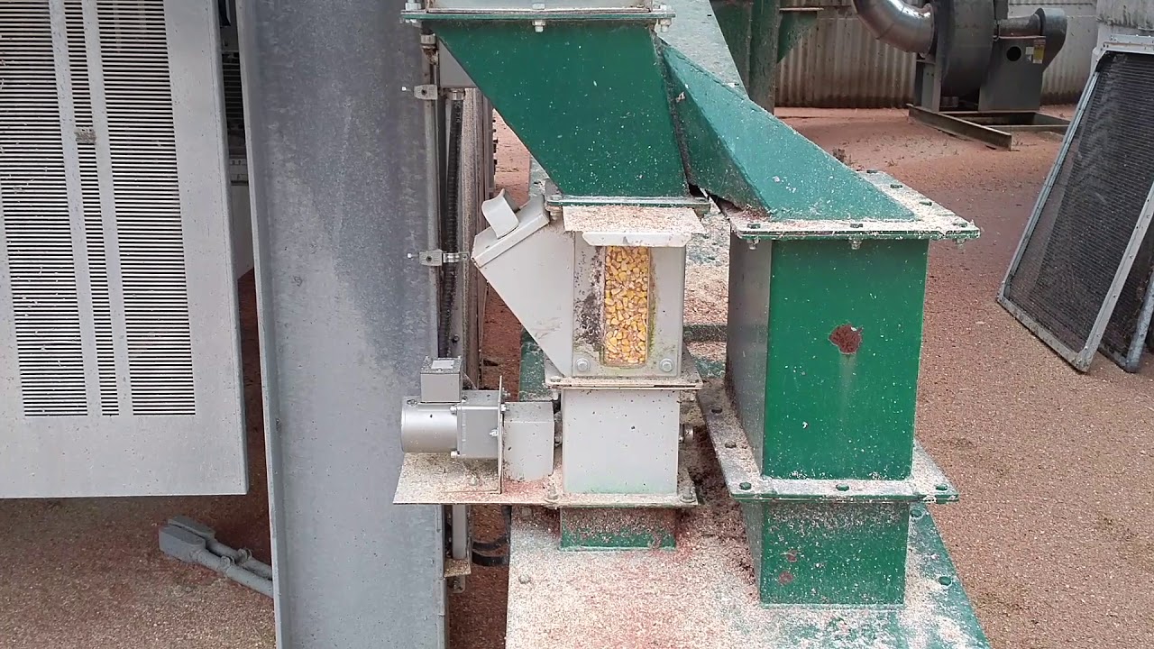 Moisture sensor in chute