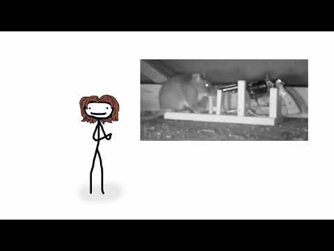 Sam O’Nella Clips I quote daily