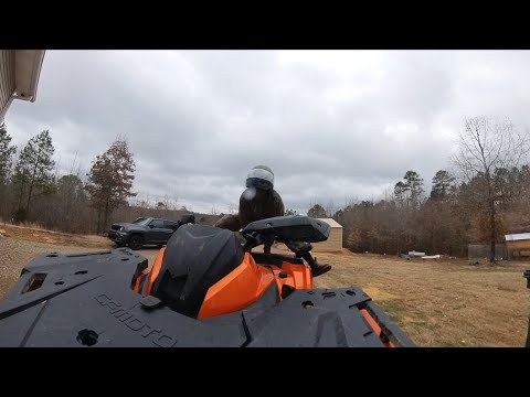 Motovlog #136 CFMoto CForce 800 ATV first ride with the Insta 360 X3...