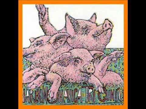 Jaromir Nohavica - Delfini