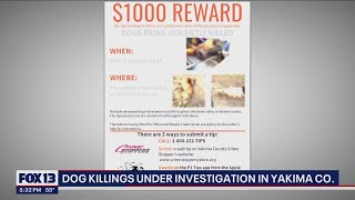 Authorities offer $1,000 for suspects behind abuse, killings of dogs in Yakima | FOX 13 Seattle