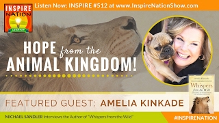 🌟 AMELIA KINKADE: What Animals Are Trying to Teach Us | Whispers from the Wild | Animal Psychic