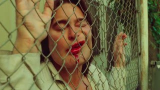 YOUNG REBELS Theme - Samurai Cop director Amir Shervan video