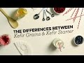 Kefir Grains vs Powdered Kefir Starter - What's the difference?
