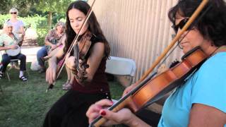 Paddy Won't You Drink Some Good Old Cider