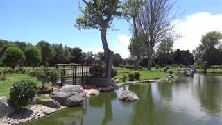 Erasure - Take Me Back (Subtitulos ingles/español)