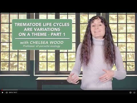 Trematode life cycles are variations on a theme - Part 1