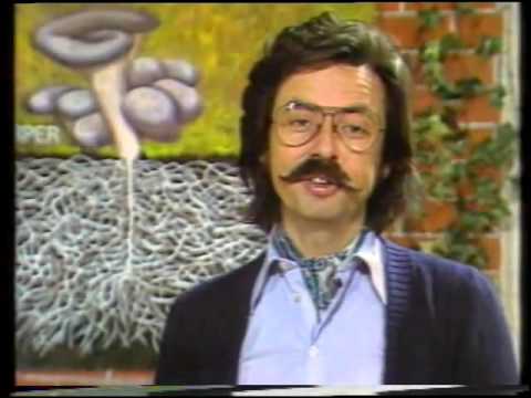 Hobbythek - Pilze für Schlemmer selbst gezüchtet