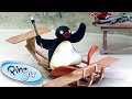 Pingu Is Ready For The Winter Sports Pingu Cartoons For Kids