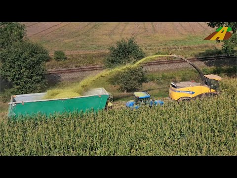 Maishäckseln - Feldhäcksler New Holland FR 700 Trecker T8 & T7 German farmer corn harvest Maisernte