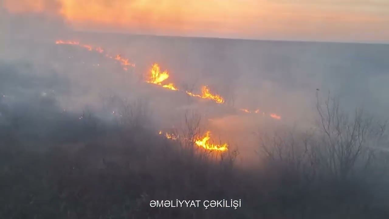 Ucarın Təzə Şilyan kəndində açıq ərazidə yanğın olub VİDEO