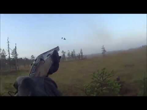 Teeritilanteita menneiltä syksyiltä (Black Grouse hunting)