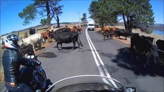 preview picture of video 'On the back road to Bathurst'