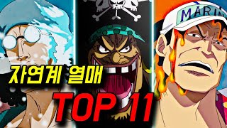 [원피스] 자연계 악마의 열매 순위 TOP 11