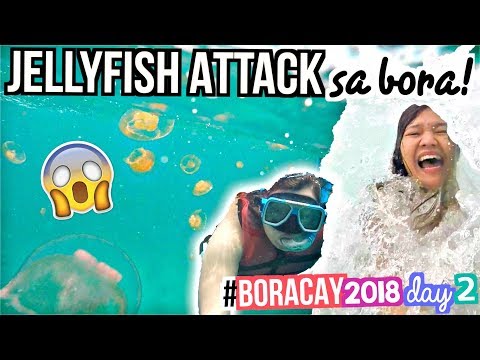 JELLYFISH ATTACK!!! Muntik Malunod! BORACAY 2018 Travel Vlog  ✈️☀️makeupbykarlamisa