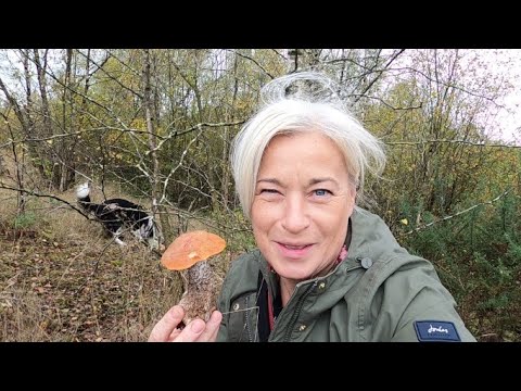 🍄GRZYBOBRANIE I MOJE PAPLANIE☕️