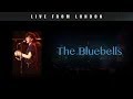 The Bluebells I M Falling
