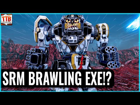 Mech Detox Spa SRM Brawler Build! - Executioner - German Mechgineering #1273 MWO