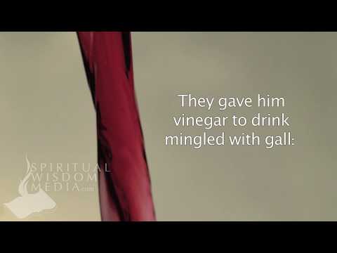 Matthew 27:34 - They gave him vinegar to drink mingled with gall - Bible Verses