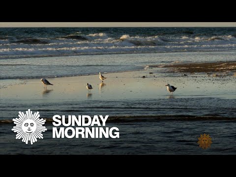 Nature: Cape Code National Seashore