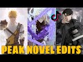 Novel TikTok Edits 12 That Ll Leave You Stunned ️‍ ️