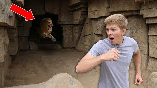 Exploring Secret Abandoned Zoo (NOT SAFE)