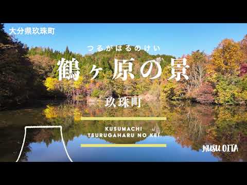 鶴ヶ原の景