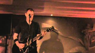 ted leo - The Gold Finch And The Red Oak Tree (cafe berlin.madrid)