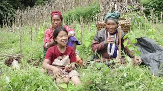 How villager work and eat in their farming area || Village life