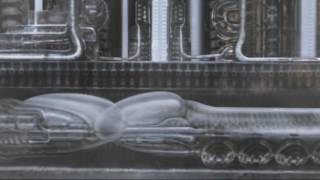 Helalyn  Flowers   I Saved An Angel