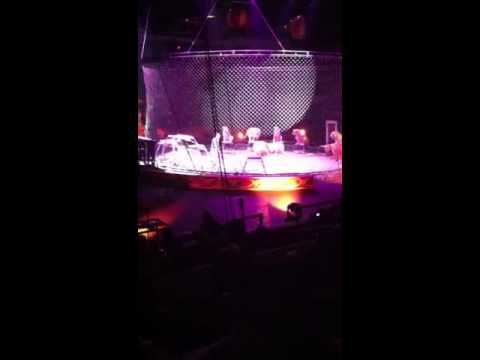 Ringling bros. & bailey