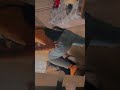 New Ankita Dave Hot Video New Hot Girl Video 2021