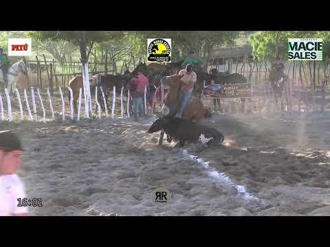 Classificação Domingo, Parque Haras Barbosa, Catolé de Napoleão, Casinhas - PE 19/10/2025