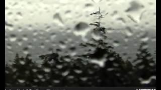 Ravens having fun in the high wind 3