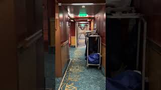 Carnival Splendor Hallway #cruise #cruisetour #travelvlog #cruiseship #travel #hallway