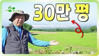 제주에서 30만 평 농사짓는 남자 ㅣ 메밀, 청보리, 유채꽃밭 ㅣ 제주도 명소