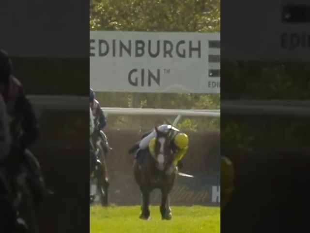 Thumbnail for Post ID: t_JXUarE8ZI