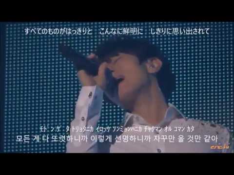 SHINHWA WHITE SHIRT＜日本語訳＞