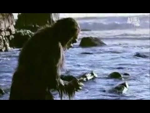 Did early humans evolve in the sea - to become mermaids?