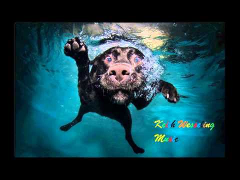 Yellow Claw vs Sick Individuals - Till It Hurts In The Skyline (Keith Wesseling Mash Up)