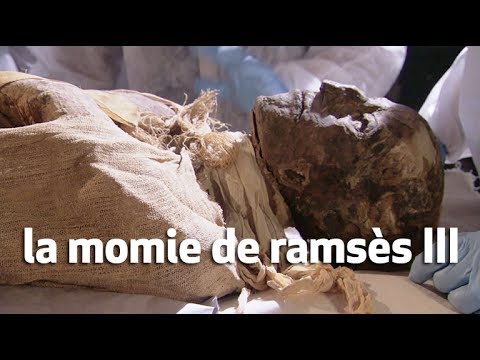 la momie de ramsès III : ramsès III, le roi assassiné