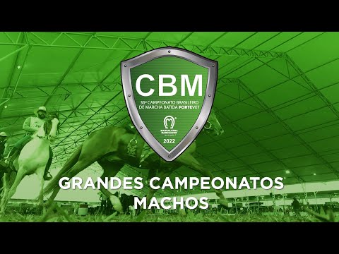 CBM DE MARCHA BATIDA 2022 - GRANDES CAMPEONATS DE MACHOS