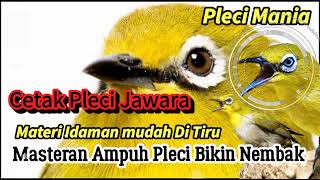 Download lagu Masteran Pleci Nembak Panjang Mudah di Tiru Paling Ampuh mp3